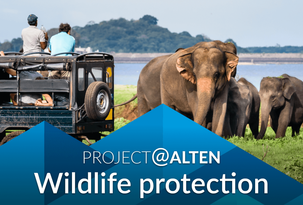 Project wildlife protection